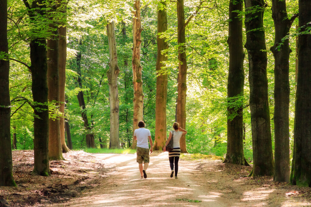 Luxe vakantiehuis Veluwe wandeling bos Loenen